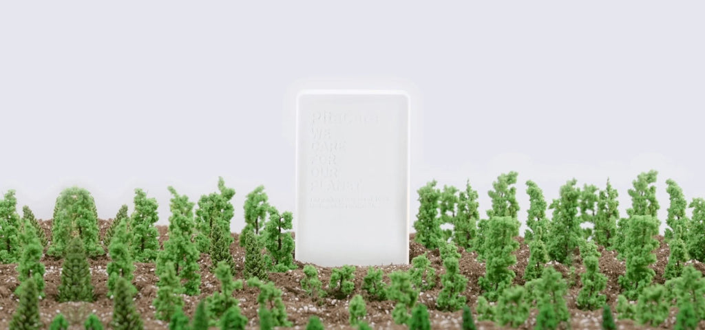 PitaCare: PITAKA's Commitment To The Environment