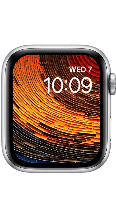 PITAKA Christmas 2023