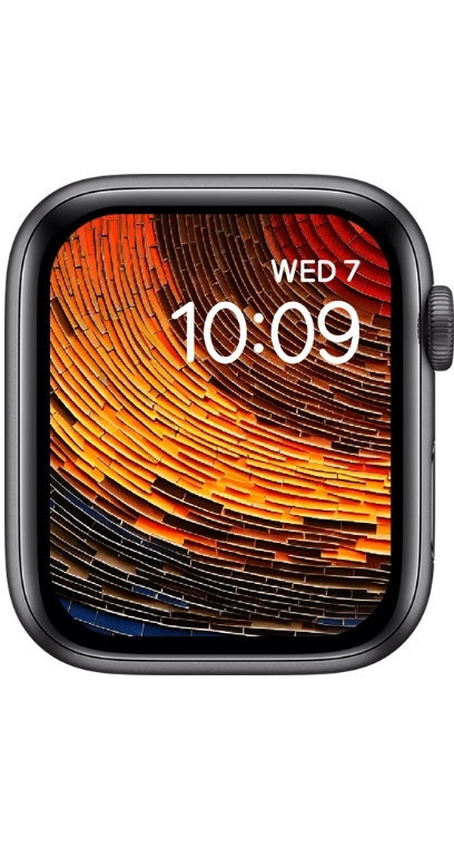 PITAKA Christmas 2023