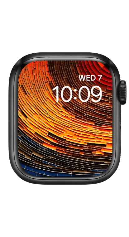 PITAKA Christmas 2023