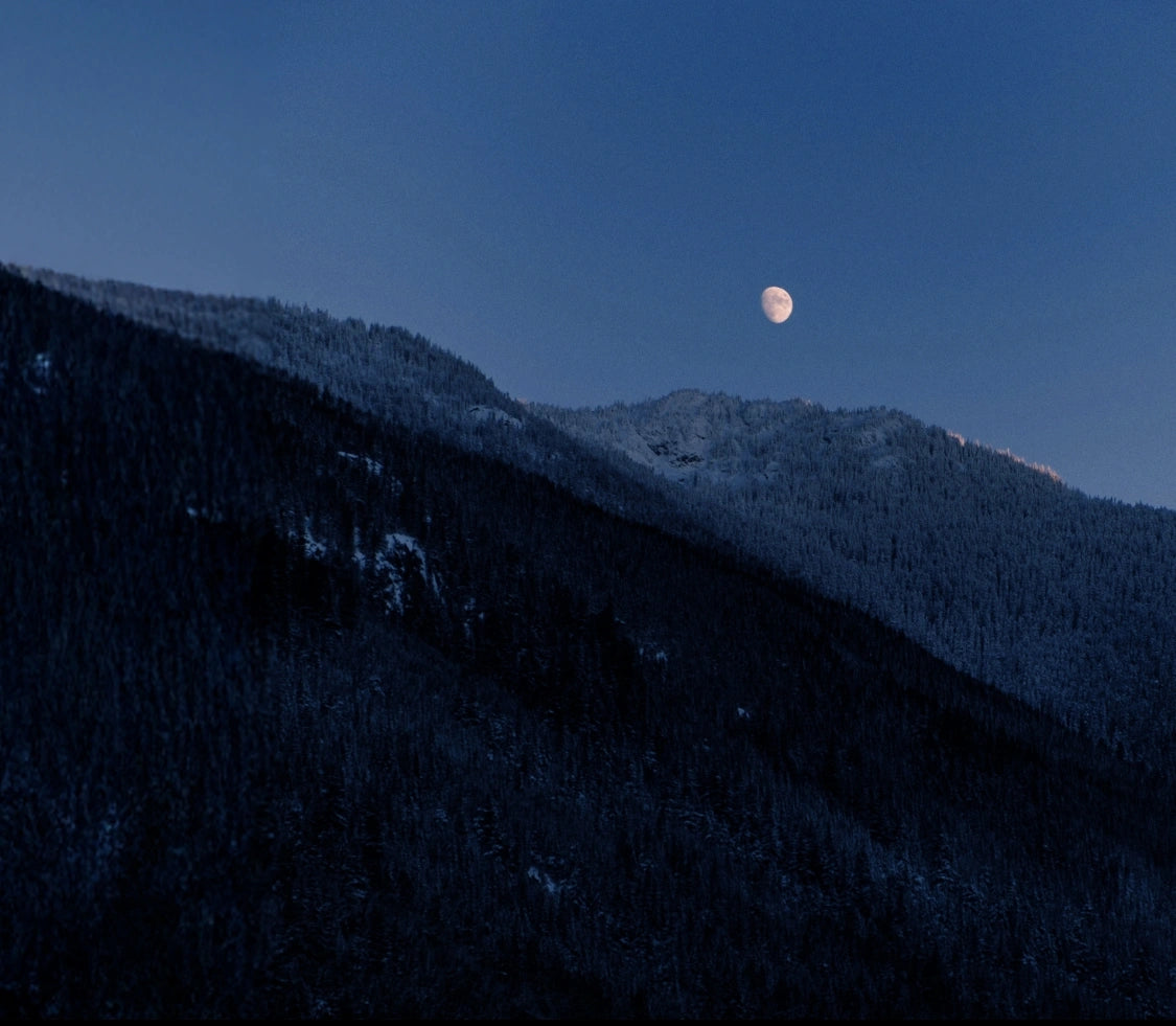 StarPeak Phone Cases