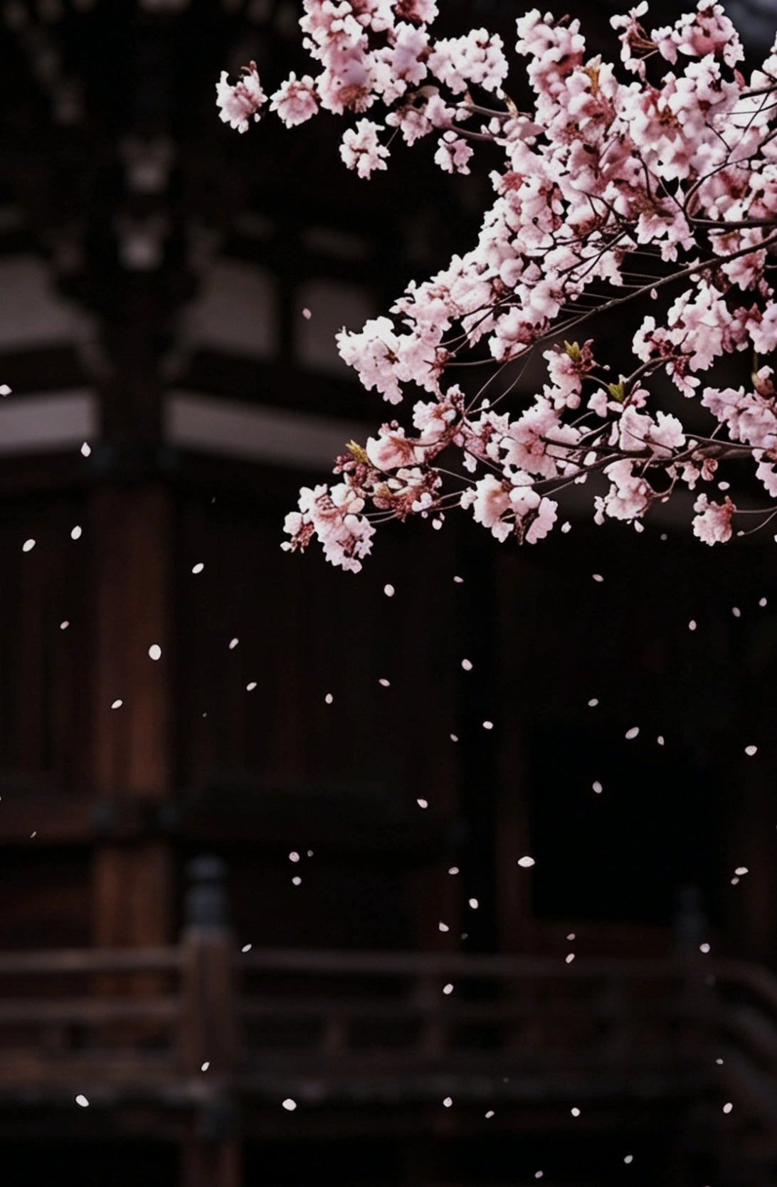 Sakura Hours