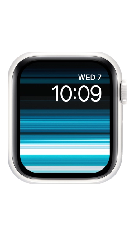 PITAKA Christmas 2023