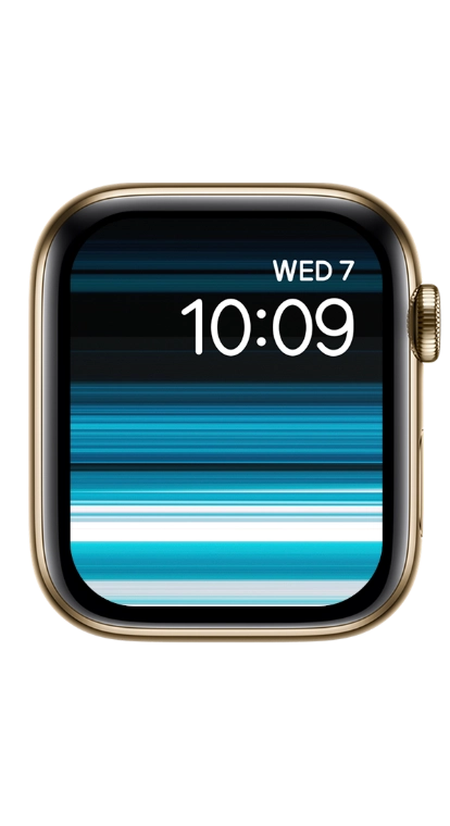 PITAKA Christmas 2023