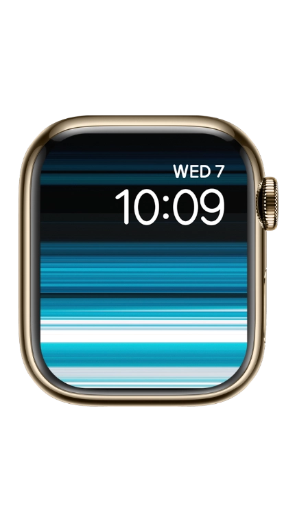 PITAKA Christmas 2023