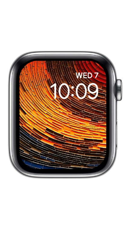 PITAKA Christmas 2023