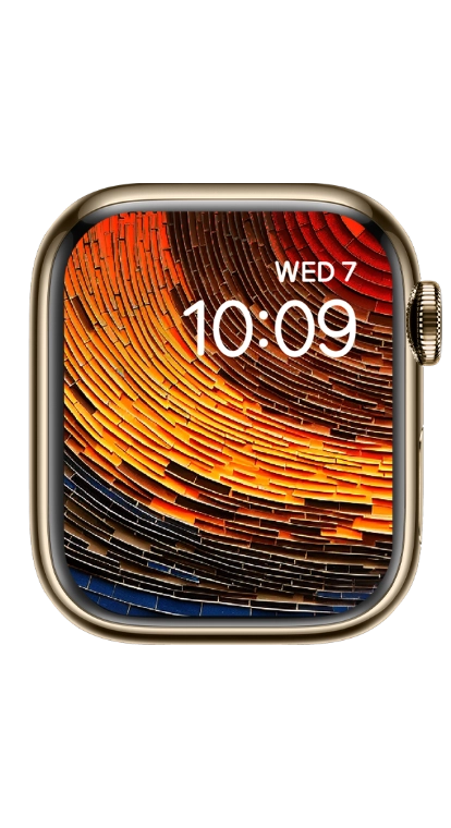 PITAKA Christmas 2023