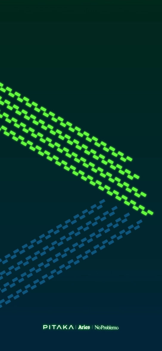 PITAKA | Aries | NoProblemo