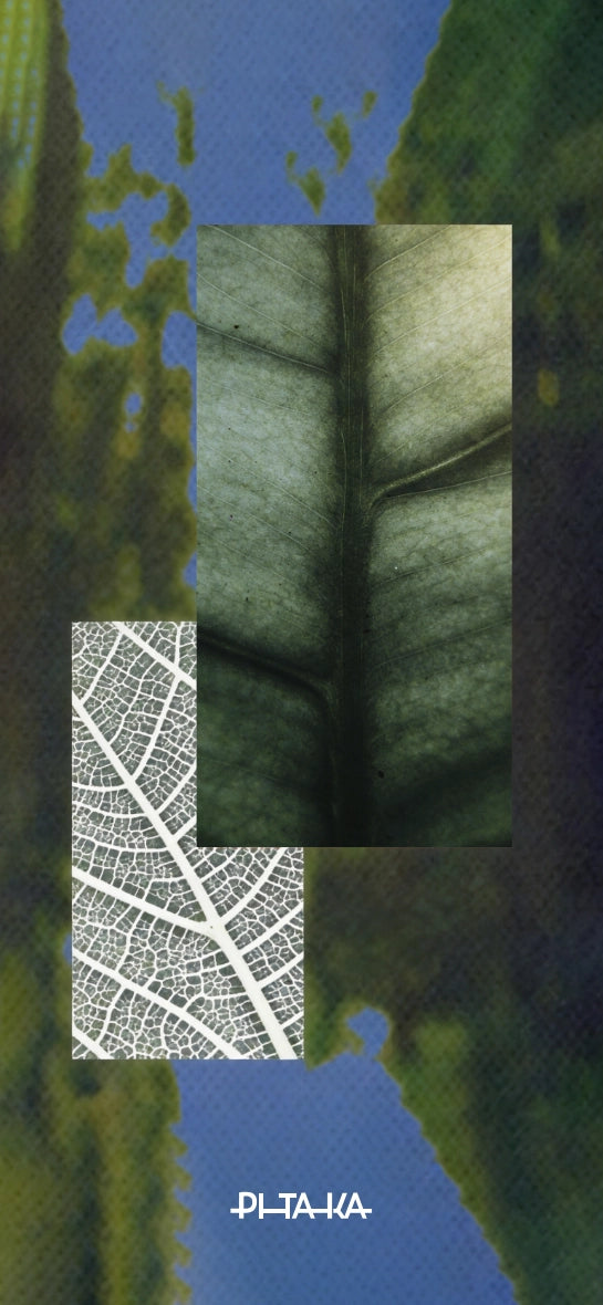 Breath of Veins