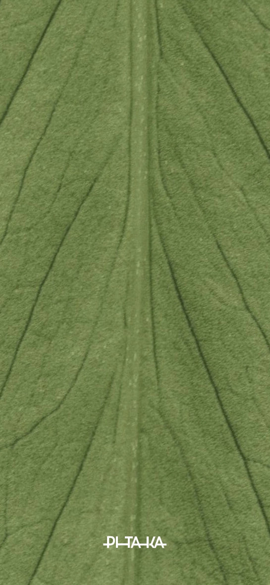 Breath of Veins